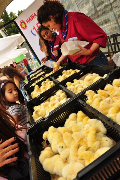 Ghadouna Easter Fiesta